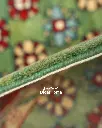 فرش دستباف شکوفه طرح افشان ۱/۶۹ متری