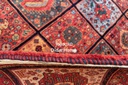 قالی قشقایی قابی-پرسپولیس(۵.۰۰)