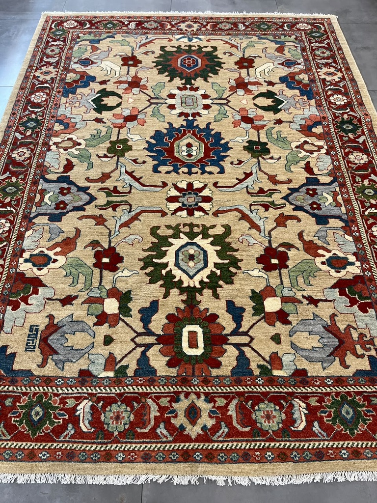 رسا شتری ح لاکی